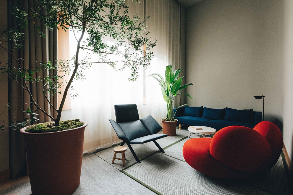 鄭州時(shí)尚精品酒店裝修設(shè)計(jì)公司案例(圖5)