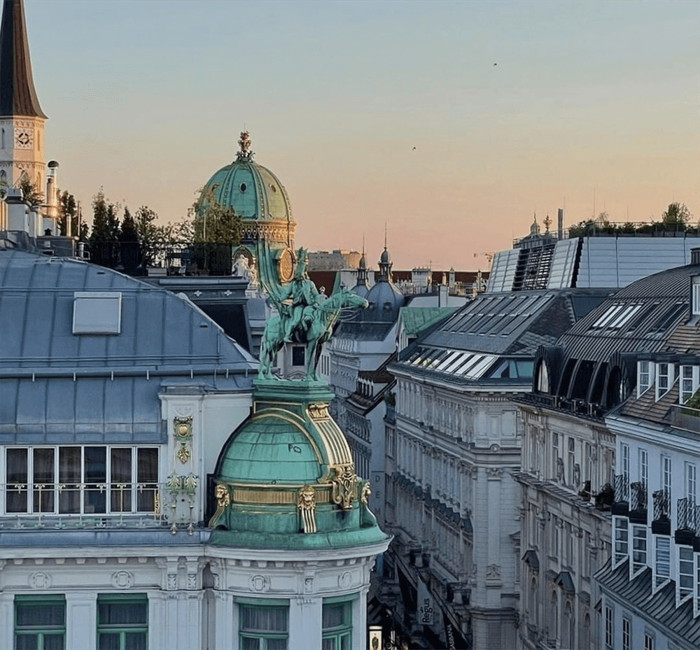 酒店設(shè)計(jì)公司推薦維也納瑰麗酒店裝修案例(圖8) 酒店設(shè)計(jì)公司推薦維也納瑰麗酒店裝修案例(圖8)