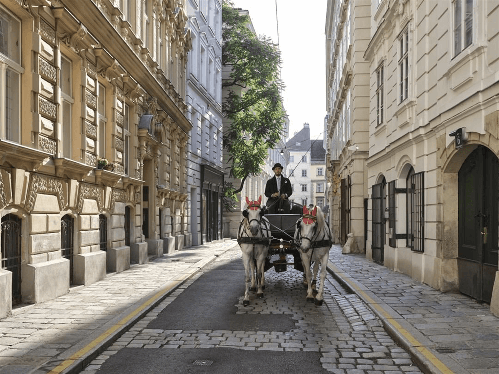 酒店設(shè)計(jì)公司推薦維也納瑰麗酒店裝修案例(圖10) 酒店設(shè)計(jì)公司推薦維也納瑰麗酒店裝修案例(圖10)