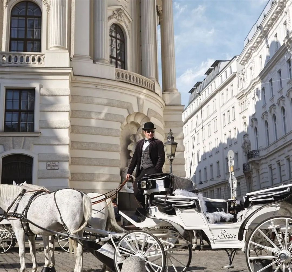 酒店設(shè)計(jì)公司推薦維也納瑰麗酒店裝修案例(圖11) 酒店設(shè)計(jì)公司推薦維也納瑰麗酒店裝修案例(圖11)