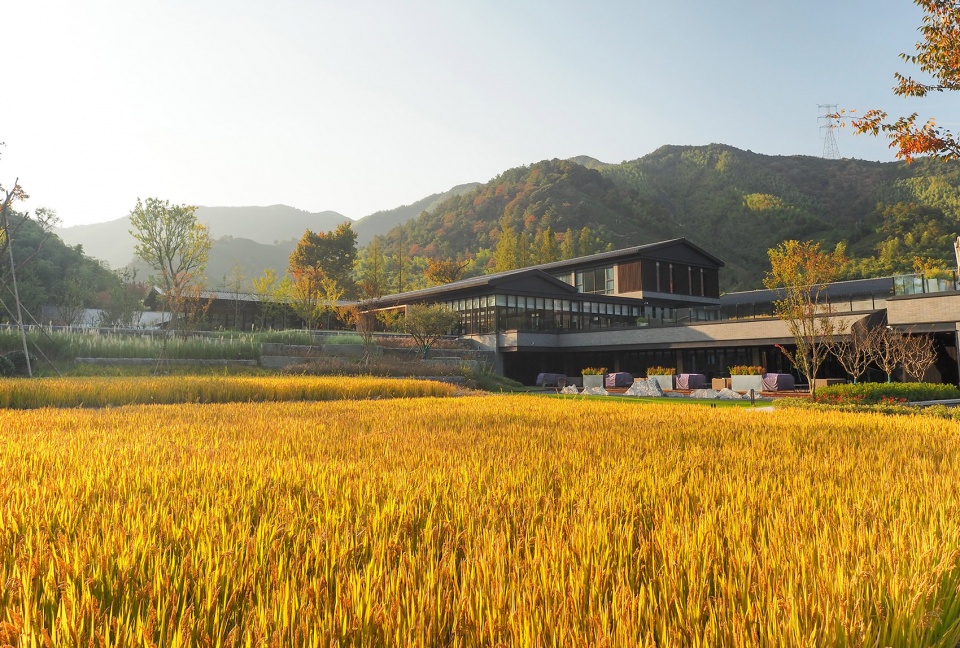 度假酒店設(shè)計(jì)公司柏翠姚良酒店裝修案例(圖12) ajbcyldjjd-18.jpg